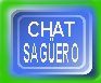 tt-chat-saguero-.jpg